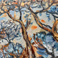Coastal Pines