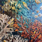 Coral Dance