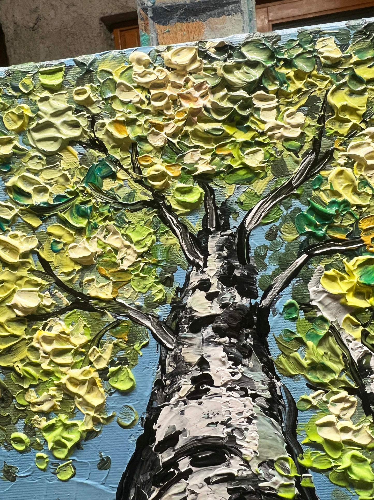 Birches Season Collection