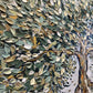 Olive tree