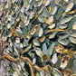 Olive tree