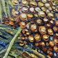 Tropical Abundance