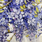 Wisteria