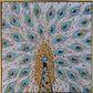 Gold Peacock